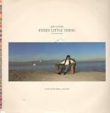 EVERY LITTLE THING 12" SINGLE