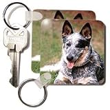 Dogs Australian Cattle - Australian Cattle Dog - Key Chains