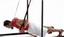 Lifeline Jungle Gym XT