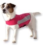 Thundershirt Pink Polo XS