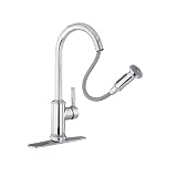 Hansgrohe AquaEra 06128005 Chrome Pull-Out Kitchen Faucet