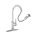 Hansgrohe AquaEra 06128005 Chrome Pull-Out Kitchen Faucet
