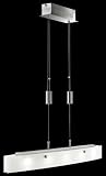 LED Pendelleuchte Shine Pendant, 5-flammig, Matt – Fischer 12185