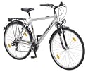 ALU-REX | Trekking-Herrenrad 28" (71cm), 21-Gang Kettenschaltung