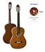 31zHBYKI0oL. SL75  Background Of The Acoustic Guitar