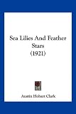 Sea Lilies And Feather Stars (1921)