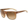Arnette Fire Drill Men's Polarized Designer Sunglasses/Eyewear - 351/T5 Gradient Brown/Gradient Brown