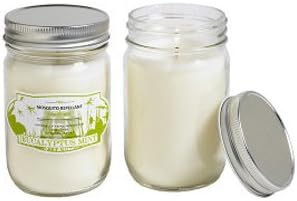 ONE Eucalyptus Mint Mosquito Repellent Glass Jar Candle, 9.5 oz by Hillhouse Naturals