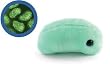 Giant Microbes Flu (Orthomyxovirus) Petri Dish