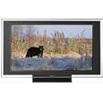 Sony Bravia XBR KDL-52XBR4 52-Inch 1080p LCD HDTV