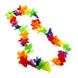  : Rainbow Flower Lei