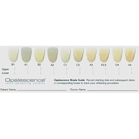 Opalescence Ultradent Dentist Dental Tooth Teeth Whitening Gel Shade Guide - 1PK