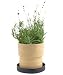 Urban Flower Lavender Bamboo Grow Pot