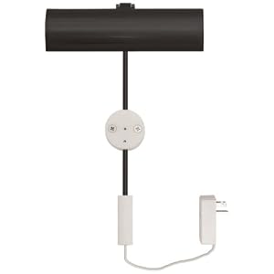 Cody Black 6 LED Picture Light