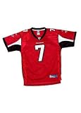 Atlanta Falcons Michael Vick Sale Replica Youth Team Color Jersey, Size= X-Large