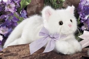31zJZ4sfPAL Sugar 14 White Kitty Cat Plush Stuffed Animal Gift By Bearington