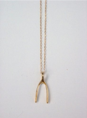 Click here to buy Jennifer Shon Wishbone Necklace.