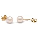Pair of 6.5-7.0 mm, AA+ Quality, White Akoya Pearl Stud Earrings