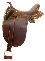 The Dalby Poley With Horn