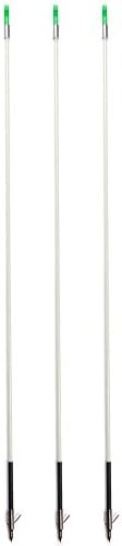 White Archery Bow Fishing Hunting Arrows W/ Broadheads and Safety Slides (3pcs)