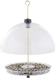 Droll Yankee Dorothys Cardinal Feeder