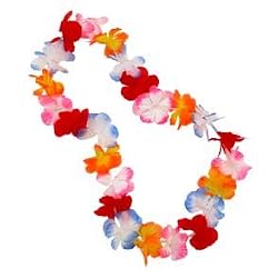 Multicolor Flower Lei