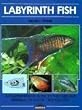 Barrons Books Labyrinth Fish Book