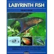 Barrons Books Labyrinth Fish Book by Barrons Books