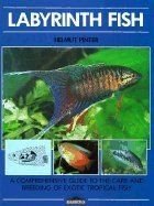 Barrons Books Labyrinth Fish Book