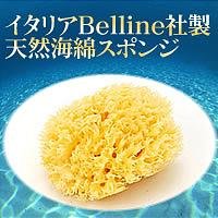 天然海綿ハニコム種（6～8cm）