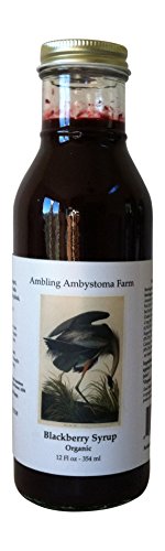Blackberry Syrup Organic, 12 oz.