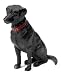 Hunter Dan toy Lab Retriever Action Figure Image