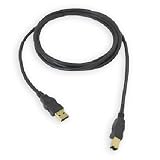 Buy 3M Type A To Type B Hi-speed USB 2.0 Cable  by SIIG