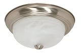 Nuvo Lighting 60/2622 2Light 13Inch Flush Mount Light Picture