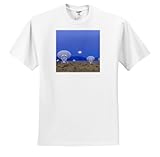Danita Delimont - Technology - NM, San Augustin, 27 Very Large Array antennas - US32 BJA0061 - Jaynes Gallery - T-Shirts - Youth T-Shirt Large(14-16)
