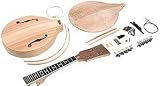  : Saga AM-10 Build Your Own Mandolin Kit