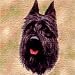 Bouvier des Flandres Woven Lap Square (Throw Blanket)