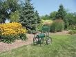 Liberty 2PAY6 Hose Cart, 2 Wheels, NPT Fittings