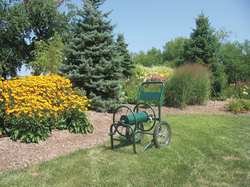 Liberty 2PAY6 Hose Cart, 2 Wheels, NPT Fittings