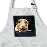 Guinea Pig - Guinea Pig - Aprons
