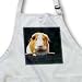 Guinea Pig - Guinea Pig - Aprons