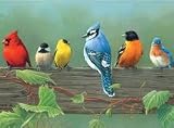 Reeves 12-Inch by 16-Inch Paint by Number Artists Collection, Rail Birds