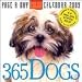 Office Products : 365 Dogs Page-A-Day 2009 Desk Calendar