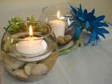 Bubble Ball Vase (24pcs/Bulk)