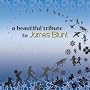 Beautiful: Tribute to James Blu