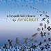Beautiful Tribute to James Blunt