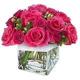 Roses - Color Up