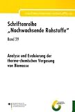 Analyse und Evaluierung der thermo-chemischen Vergasung von Biomasse