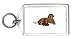 Keychain with resting, hound, pair, dog, saint, bernard