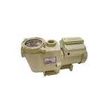 Pentair IntelliFlo VS 3050 High Performance Pump 230-Volt 16-Amps Almond